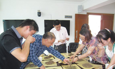 �ֳ�������ҩ��Ƭ