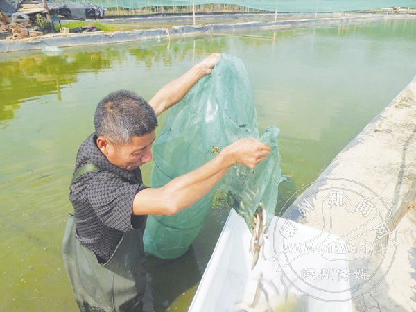 ������ ����������