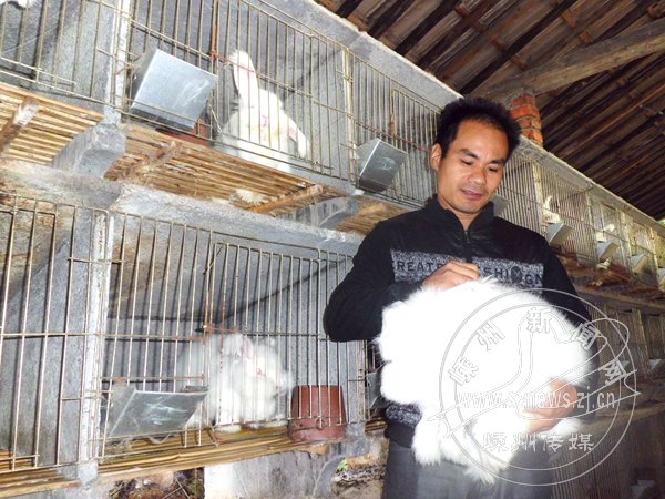 ��ģ���ó���ͷ