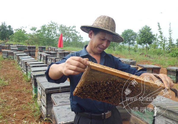 �軨����������