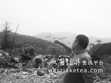 身残志坚 嵊州残疾人开茶叶公司创业(图)