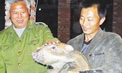 ���ñ���Ұ�� ���������ػ���������