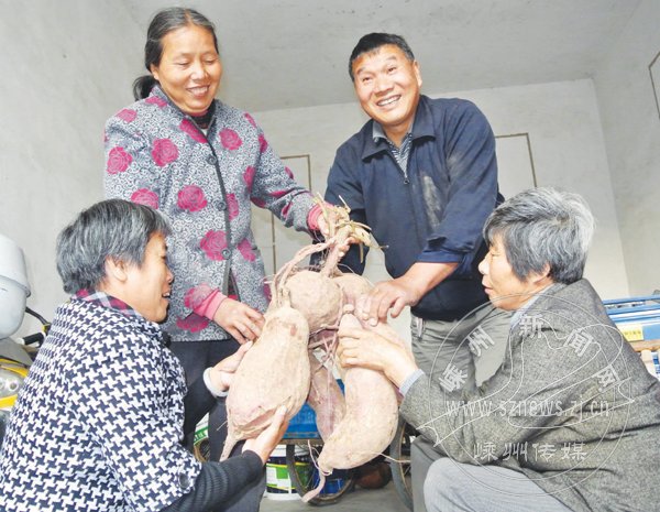 һ�귬����ʮ����