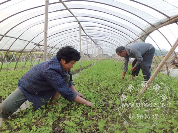 ũ���в��� �����߲˴ٴ���