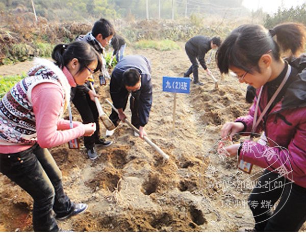 ����������ѧУ���������Ͷ�ʵ������