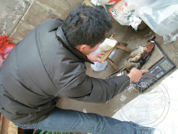 ����Ұ��������������ʵ�ڲ��ã�