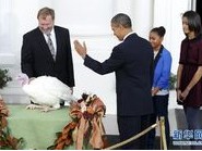 �°���Ц�ԡ��������ж��λ��ᡱ