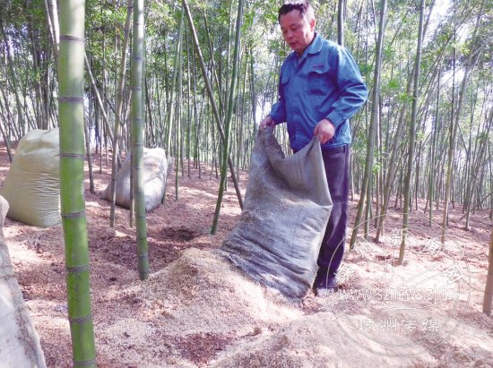 �ÿ����� �������