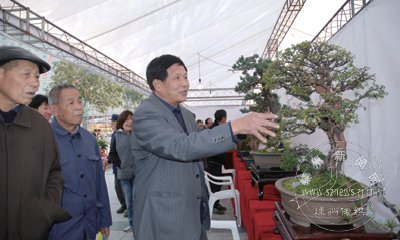 ��ɭ�ֲ�Ʒչʾչ�����ֳ�����