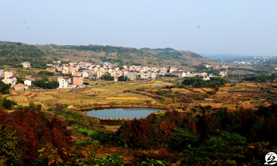 ���������㡿ɽ���ﾰ