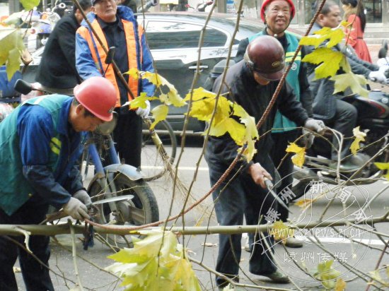 ����ͩ�������޼�