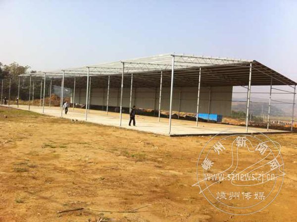 �ߺ��ֵ���Υ�½���ʵʩ���