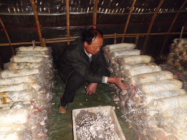 �����۸� ���˹�ũ