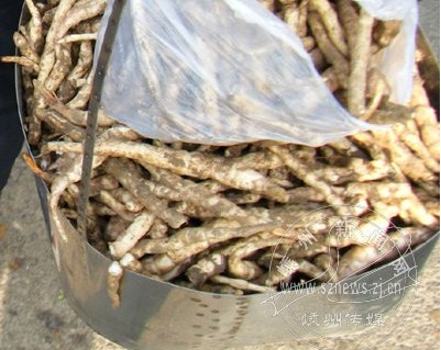 10Ԫһ��ġ������Ĳݡ�������