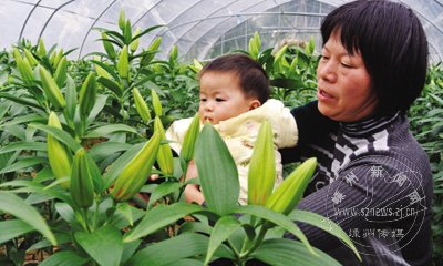 ��ˮ�ٺ��г�����