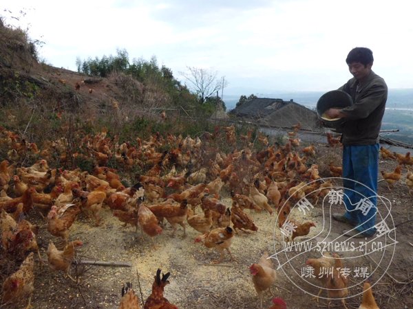 ����ɢ����ɽ��