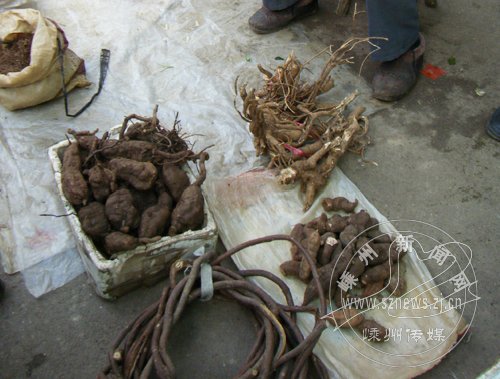 ���������ʡ������ڡ� �̲�ǰ�����ѯҽ��