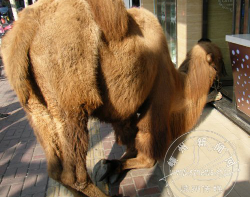 �������¹�µ�����Ǯ  ����Ҳ����