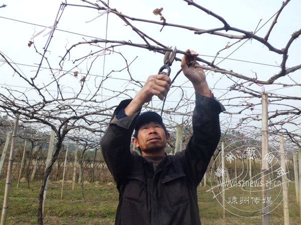 ����ʱ��æ��֦