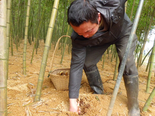 ����������   ÿ����46Ԫ