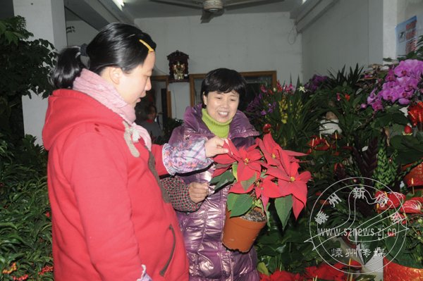 ��������  ��ϲ�족��������