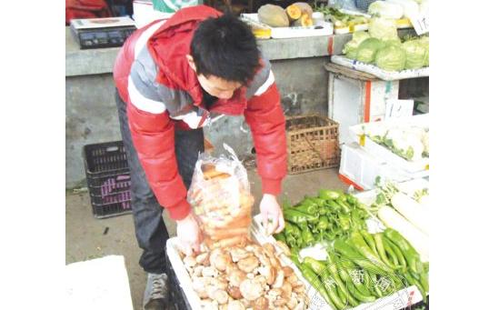 ʵ���������롪�����࿡�Ӱ�̯���˿�ʼ