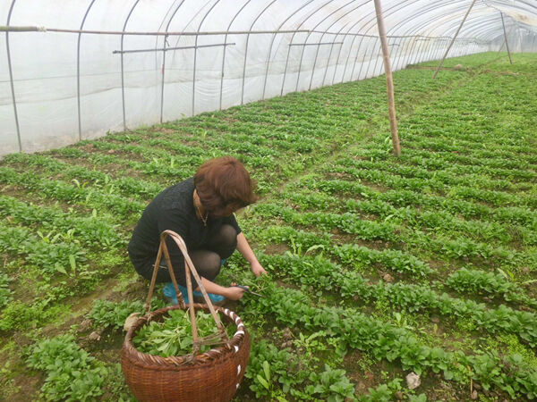 ������ͷ�����г�����