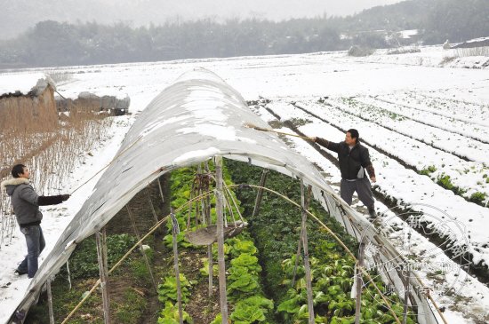 ��ѩ����  ��ũ�Ծ�æ