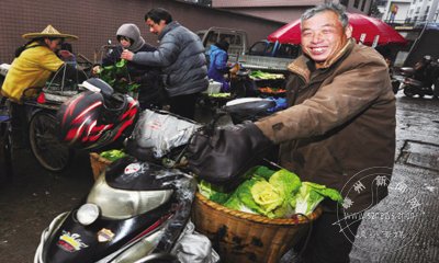 �����߲˹�Ӧ����