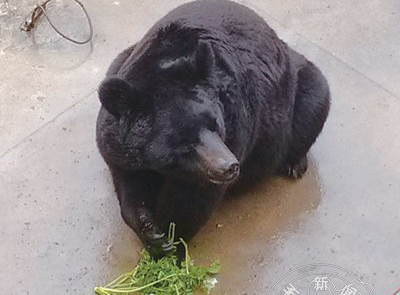 ��������ô������������������԰һ̽����