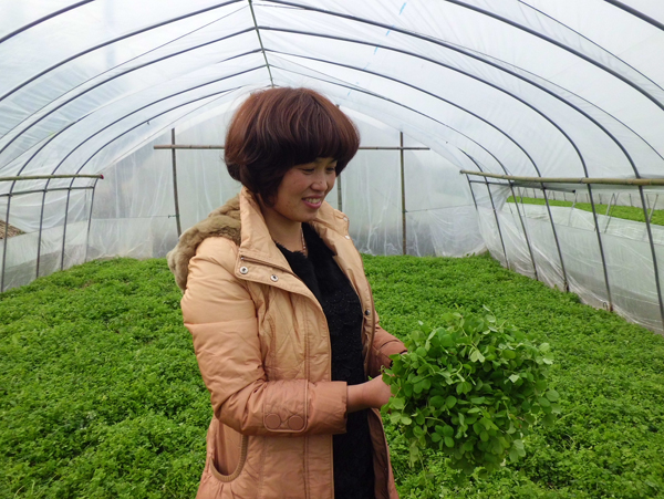 ������� ���������