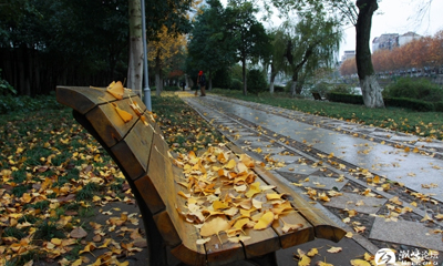 ���������㡿���ѡ���ë�޵С�2013������