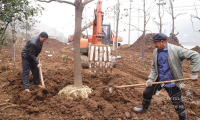 �����Ǳ���ǿ�