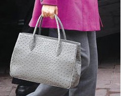 ���Ȼ��ó�����Ԫ�����������