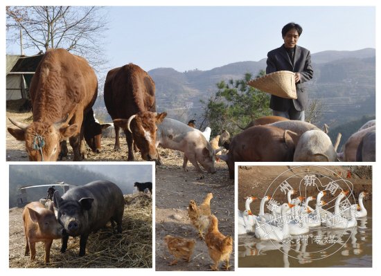 �����ֳ����������ġ�����ũ����