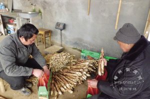 �ÿ����� ��ũ����