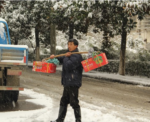 ѩ����ͼ��