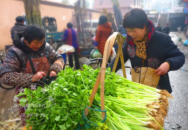 �����߲˼ۿ�ʼ�𲽻���