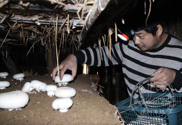 �´�Ģ��������