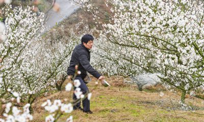 ����ʱ��ʩ��æ