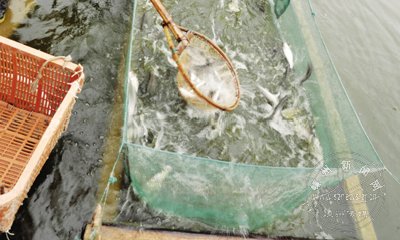 �����г������