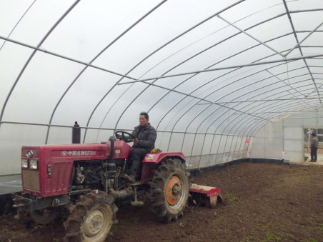 ������ �����