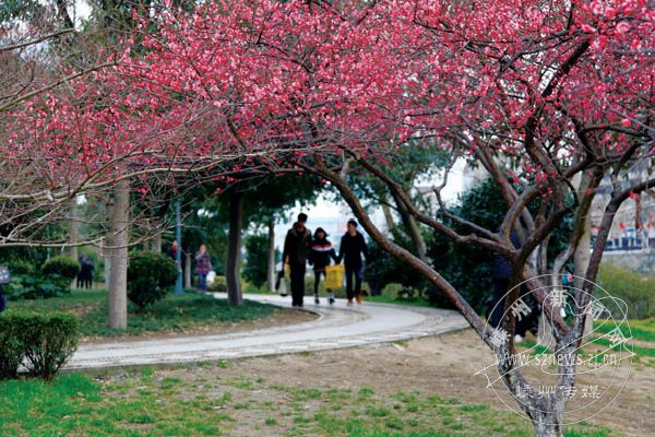 �������ͺ�÷��