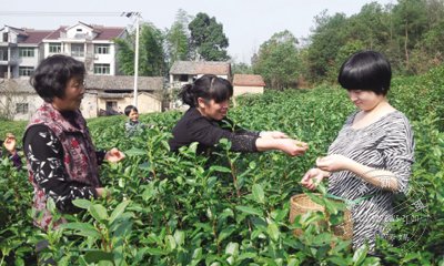 ���迪ժ��ͼ��