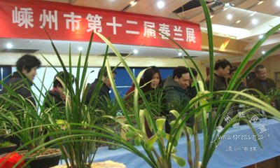 ����һ�괺��չ