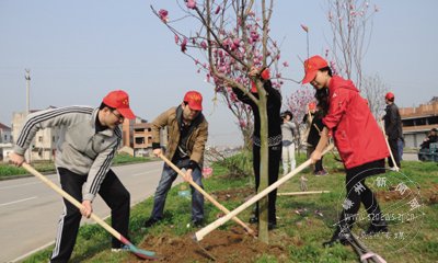 �����ഺ���� ��չֲ������