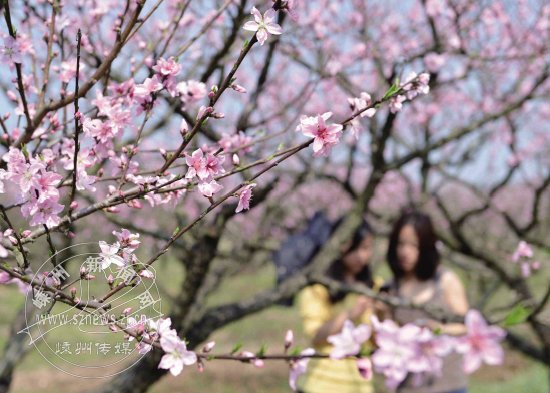 ̤���ͻ�����ʱ