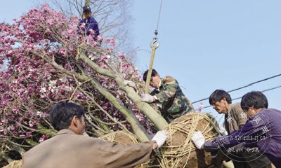 ������֮�硱��������