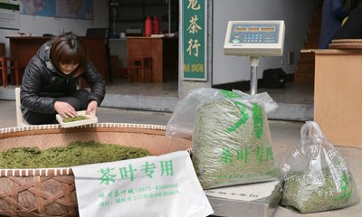 ʢ��Ҷ����ר�ô�