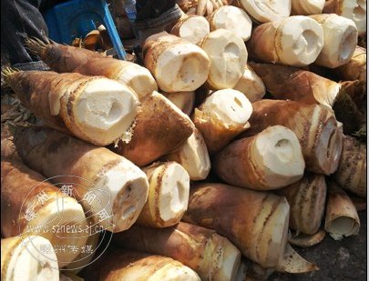 ���ë���������